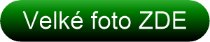 Velké foto ZDE